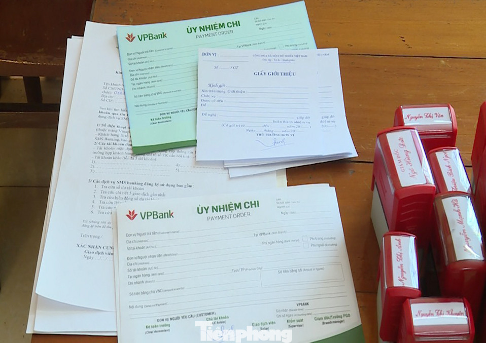 Thủ đoạn tinh vi làm giả con dấu lừa đảo hơn chục tỷ đồng ảnh 1