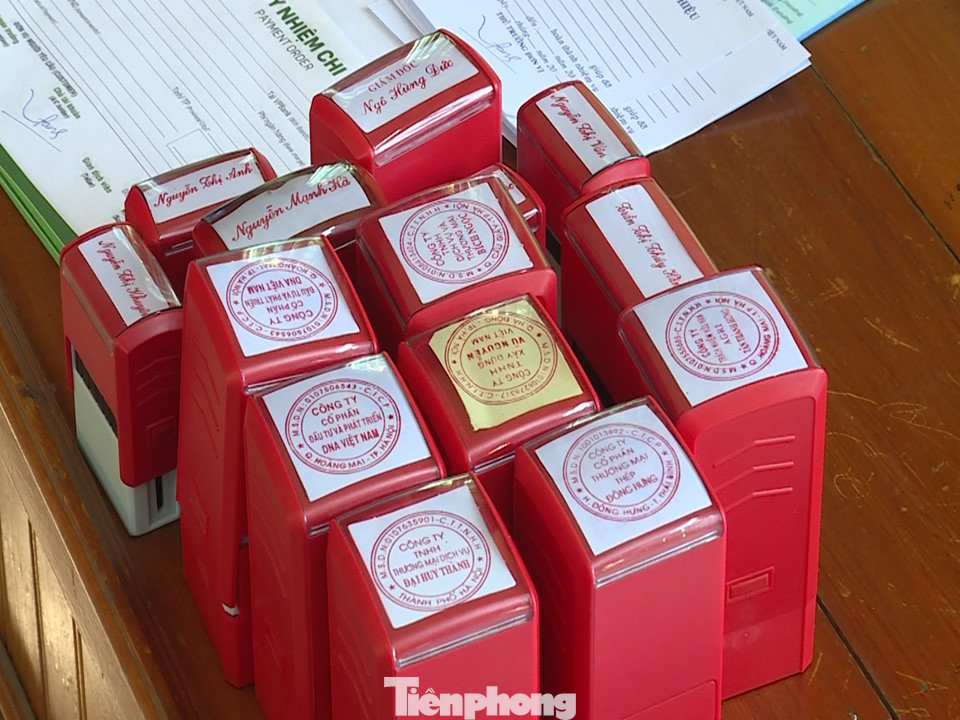 Bắt tạm giam 5 đối tượng làm giả con dấu lừa đảo hơn 10 tỷ đồng ảnh 2