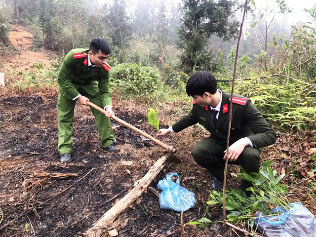 Đoàn viên Cao Bằng trồng mới 3.900 cây trong ngày Chủ Nhật xanh ảnh 1