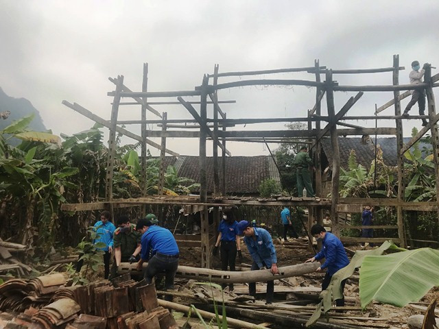 Đoàn viên Cao Bằng trồng mới 3.900 cây trong ngày Chủ Nhật xanh ảnh 2