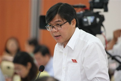 Nhiều quận huyện ở TPHCM muốn lập ‘phố đi bộ’ ảnh 1