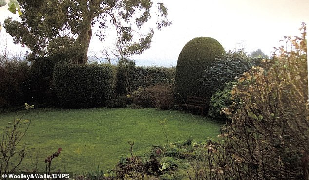 Phiến đá dùng làm bục leo lên ngựa bất ngờ có giá gần 500 triệu đồng ảnh 2