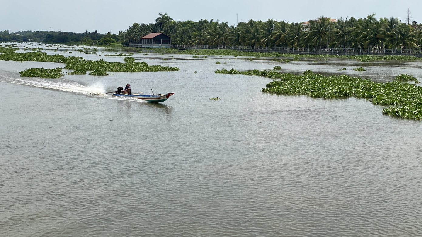 Cảnh báo cá sấu xuất hiện trên sông Sài Gòn ảnh 1