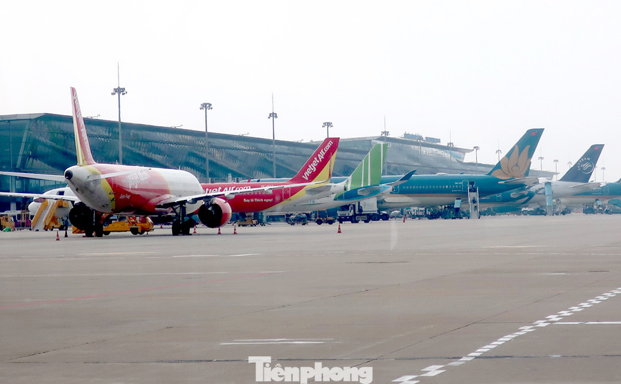 Doanh nghiệp vận tải đề xuất giảm thuế, phí vì dịch covid-19 ảnh 2