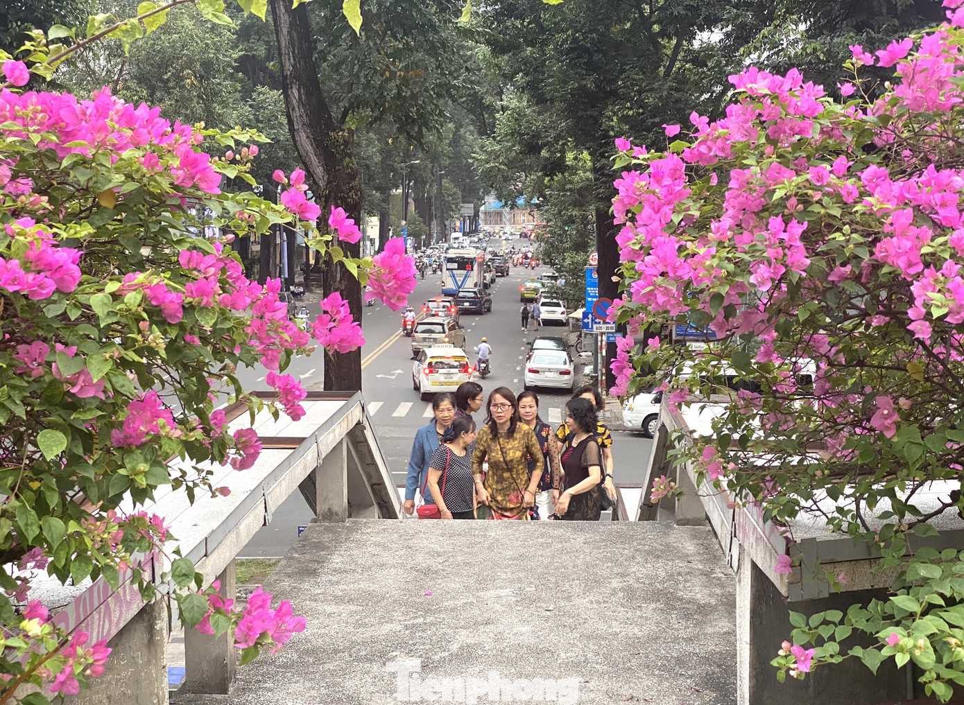 Hồ Con Rùa sắp trở thành phố đi bộ ở TPHCM ảnh 1