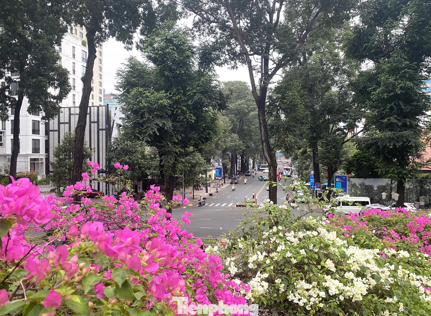 Hồ Con Rùa sắp trở thành phố đi bộ ở TPHCM ảnh 11