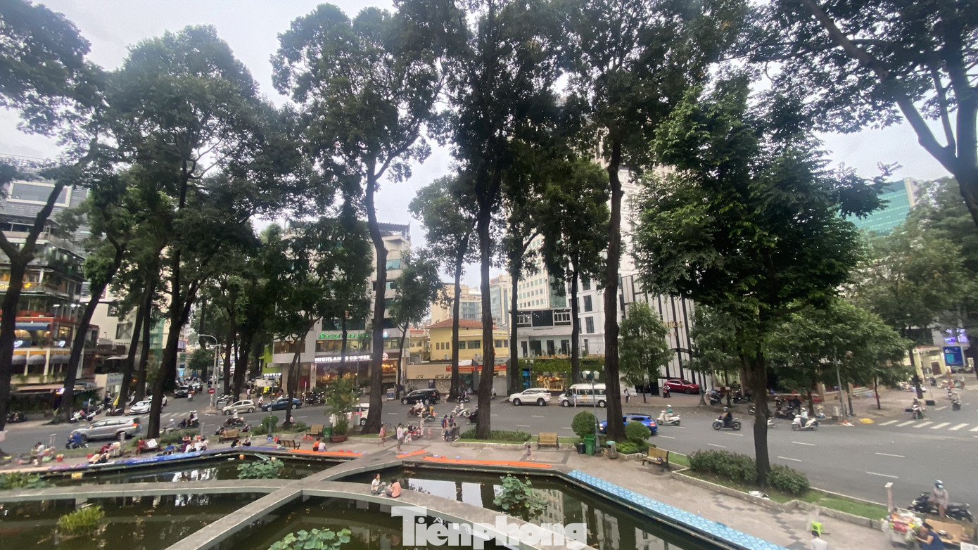 Hồ Con Rùa sắp trở thành phố đi bộ ở TPHCM ảnh 3