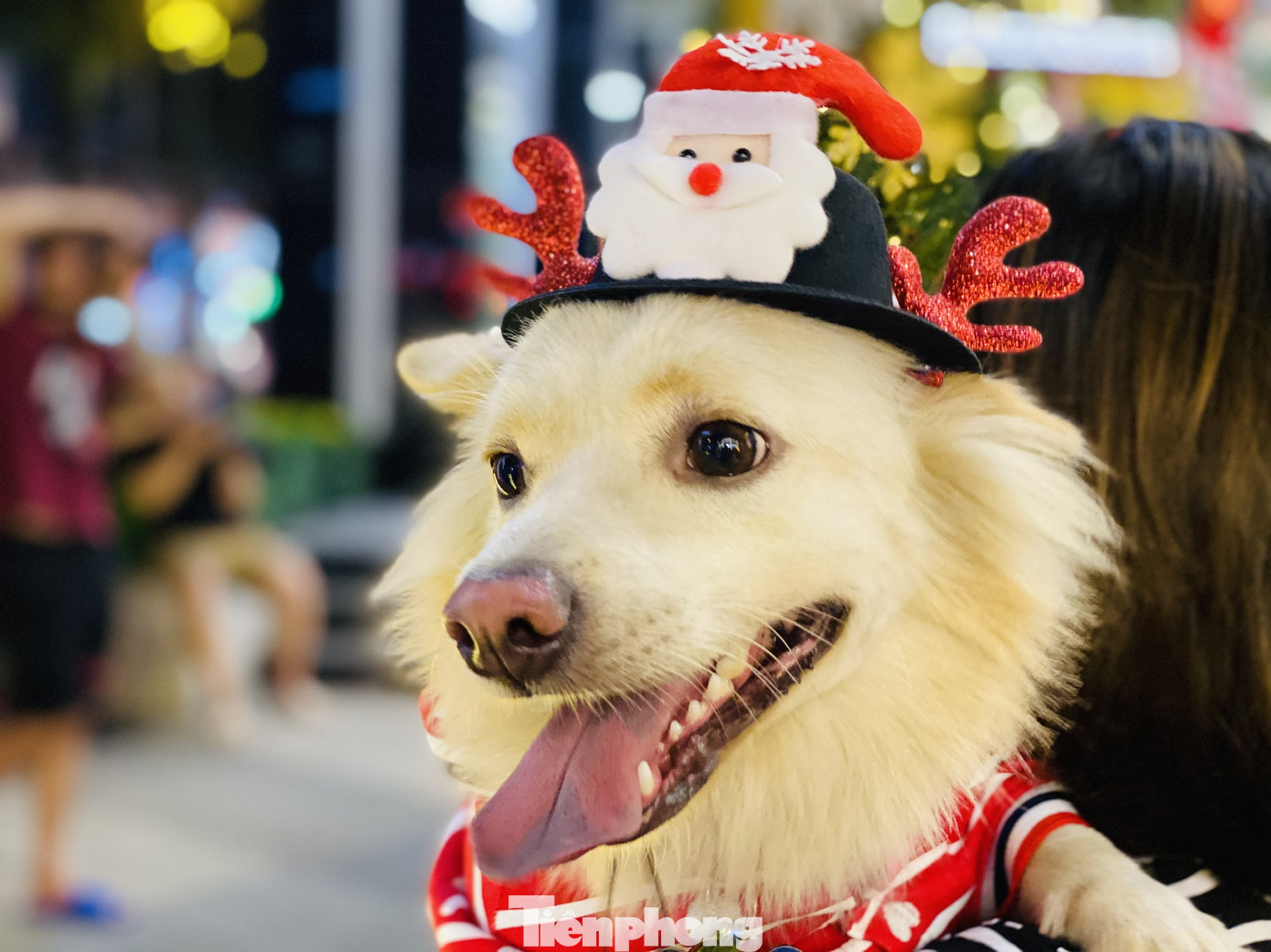 Người dân TPHCM rộn ràng đi chơi Noel sớm ảnh 7