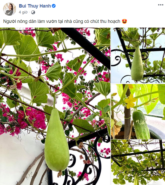 'Bỏng mắt' ngắm Chi Pu thả dáng siêu gợi cảm bên bể bơi ảnh 10