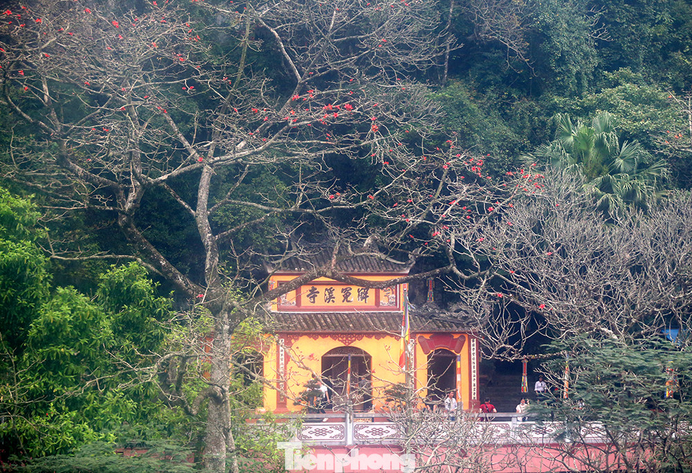 Trẩy hội chùa Hương, ngẩn ngơ ngắm hoa gạo 'thắp lửa' bên suối Yến ảnh 10