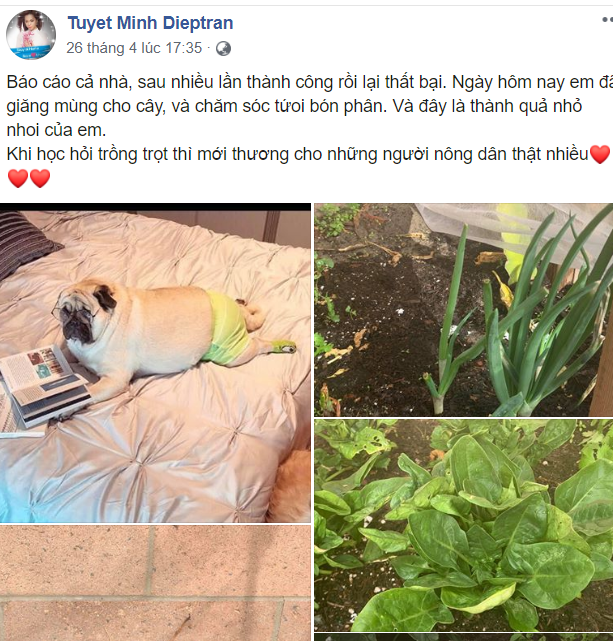 Cuộc sống tránh dịch trong biệt thự ở Mỹ của Minh Tuyết ra sao? ảnh 2