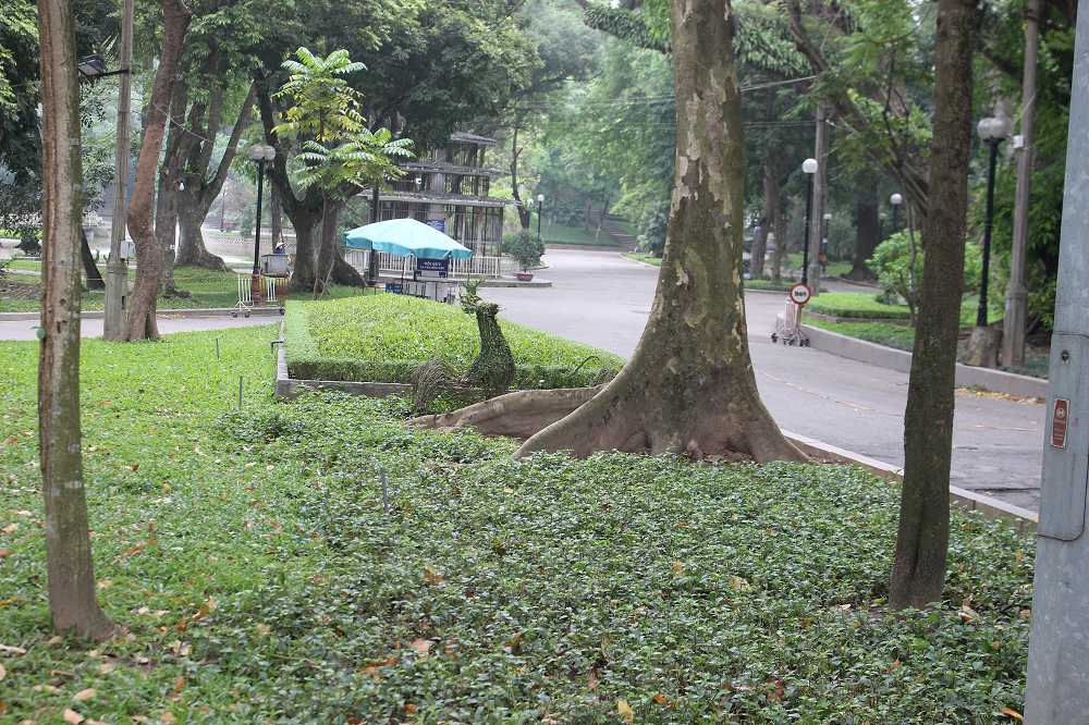 Nhiều điểm du lịch đóng cửa, người dân Hà Nội đổ ra các tuyến phố lớn dịp lễ 30/4 ảnh 3