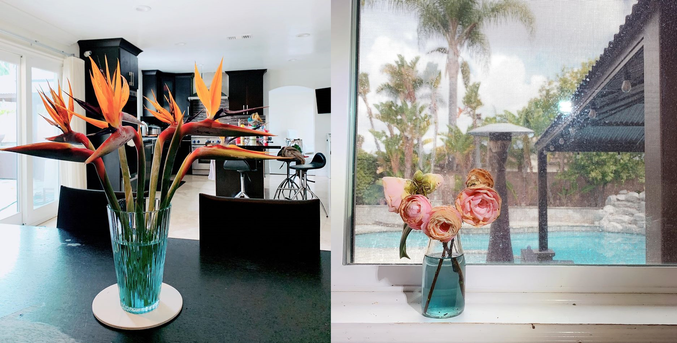 Cuộc sống tránh dịch trong biệt thự ở Mỹ của Minh Tuyết ra sao? ảnh 9