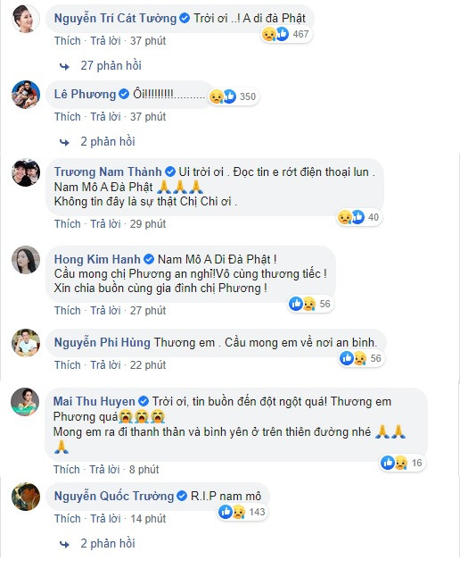 Sao Việt bàng hoàng nghe tin Mai Phương ra đi mãi mãi ảnh 2