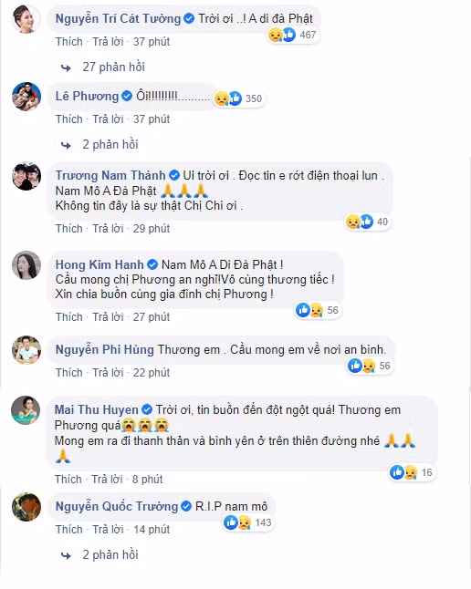 Sao Việt bàng hoàng nghe tin Mai Phương ra đi mãi mãi ảnh 2