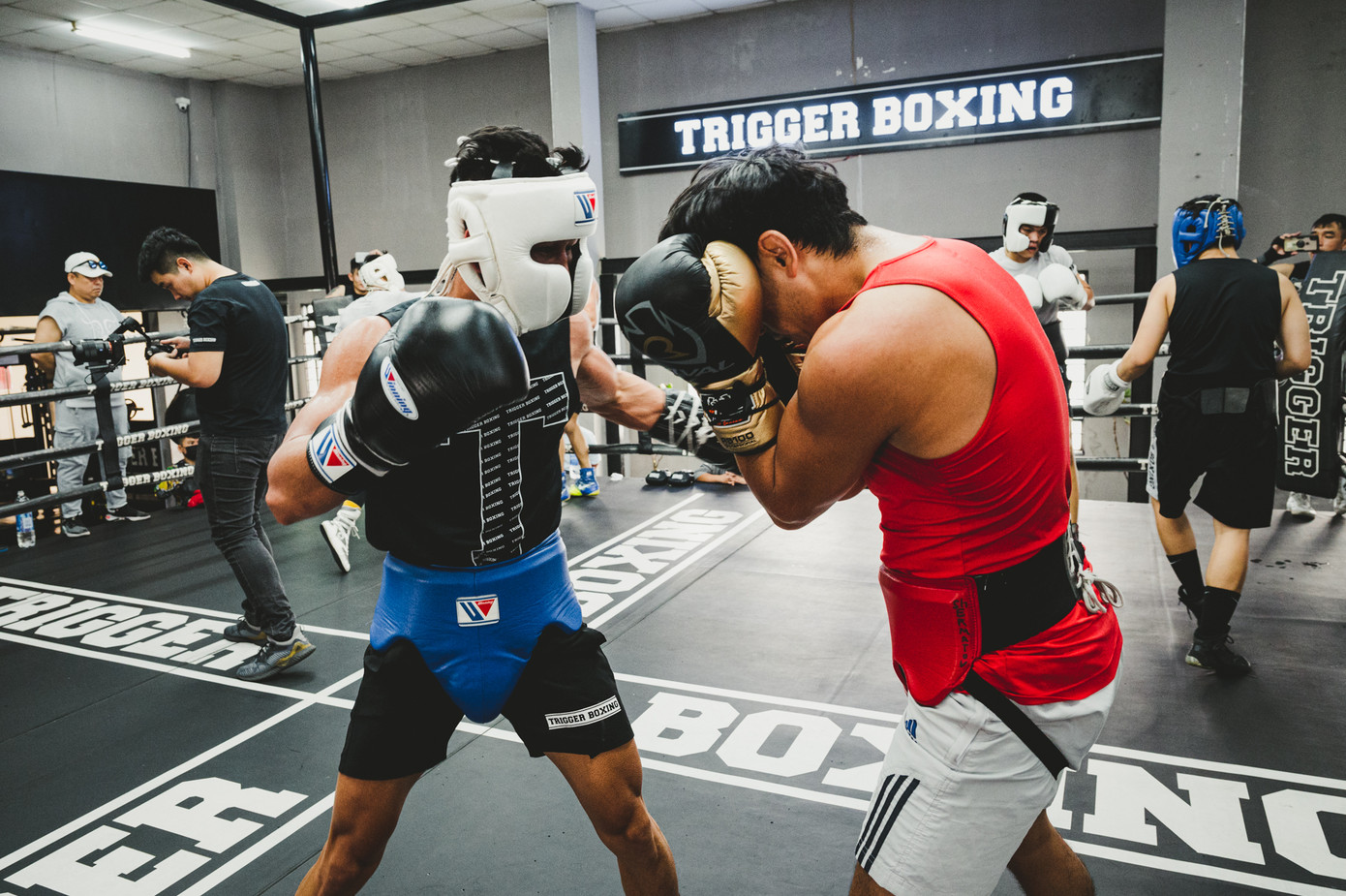 Võ sĩ Trần Văn Thảo tập luyện 'đổ máu' cho trận tranh đai vô địch IBA thế giới ảnh 5