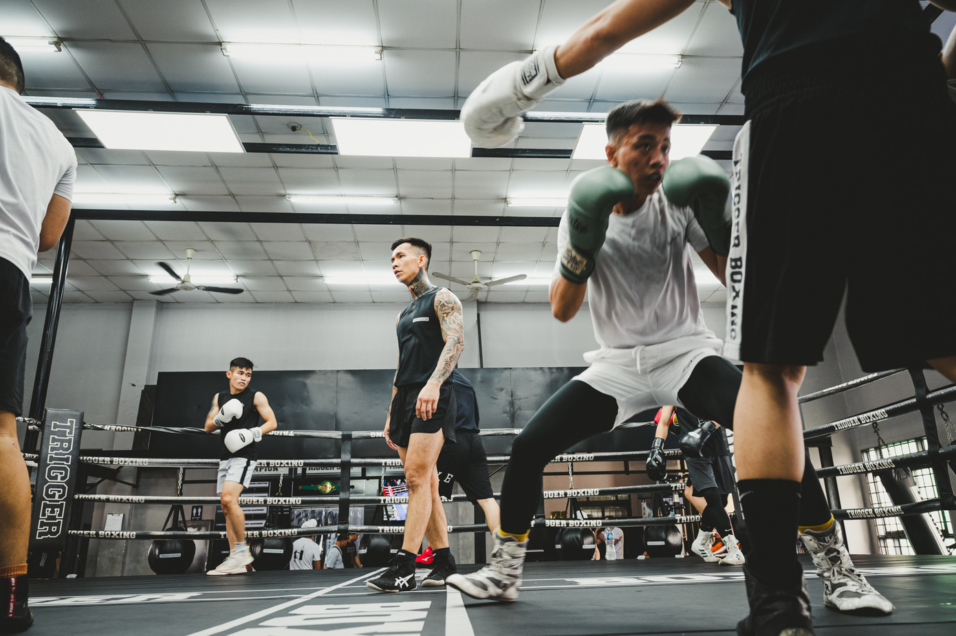 Võ sĩ Trần Văn Thảo tập luyện 'đổ máu' cho trận tranh đai vô địch IBA thế giới ảnh 16