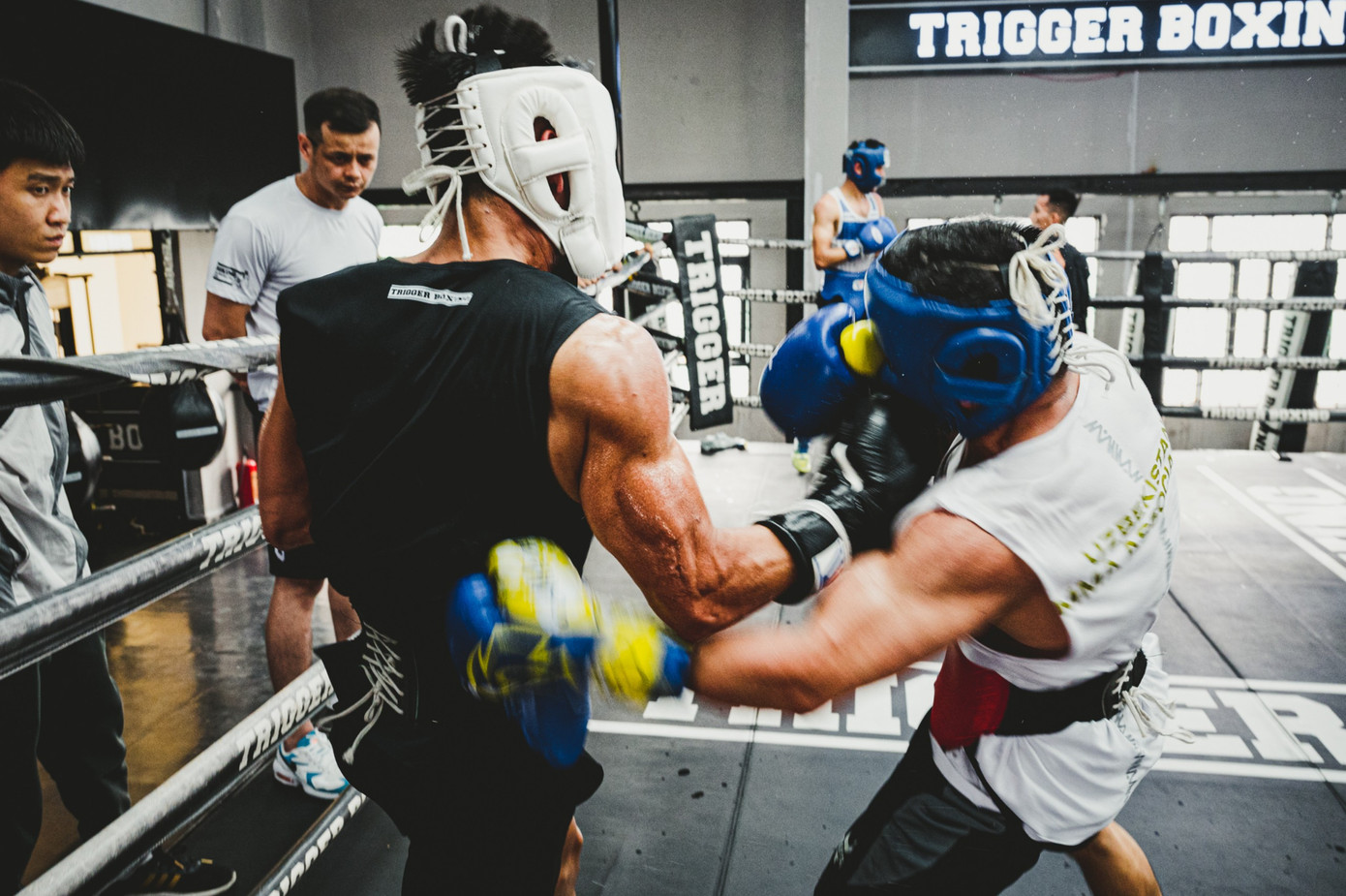 Võ sĩ Trần Văn Thảo tập luyện 'đổ máu' cho trận tranh đai vô địch IBA thế giới ảnh 9