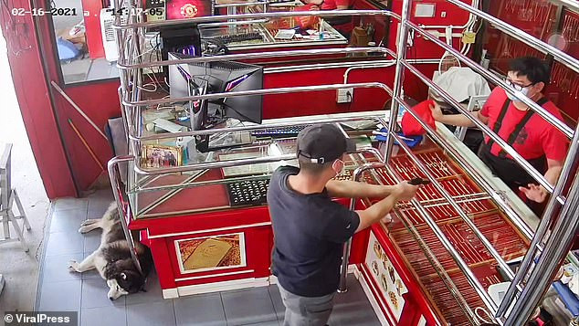 Phì cười với chú chó ngủ say như chết khi chủ bị ‘cướp tiệm vàng’ ảnh 1