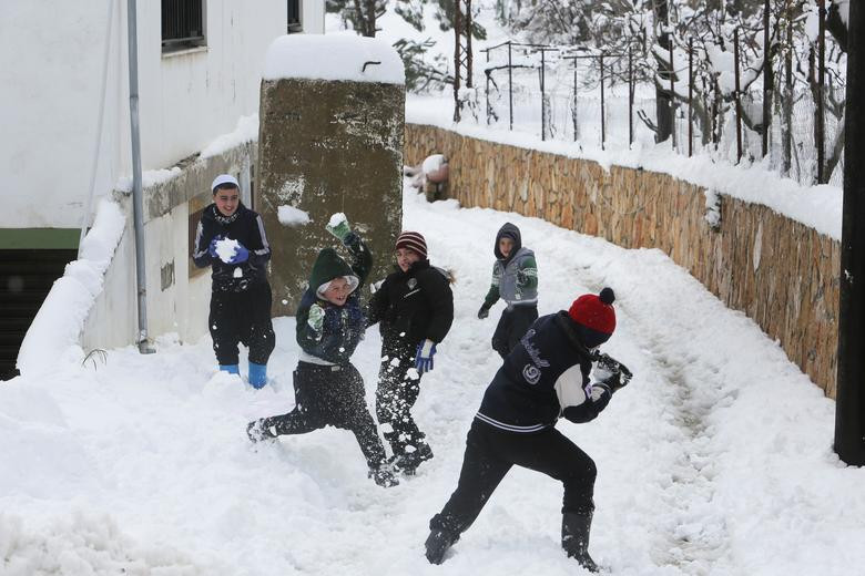 Hài hước cảnh lạc đà ngơ ngác khi thấy tuyết rơi ở Ả Rập Saudi ảnh 7