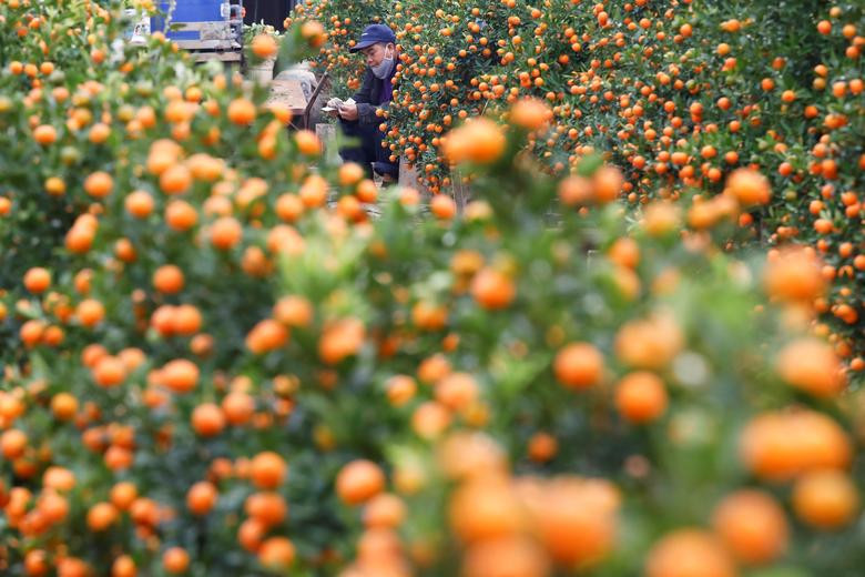 Khắp châu Á trang hoàng lung linh, người dân đeo khẩu trang đi sắm Tết ảnh 25