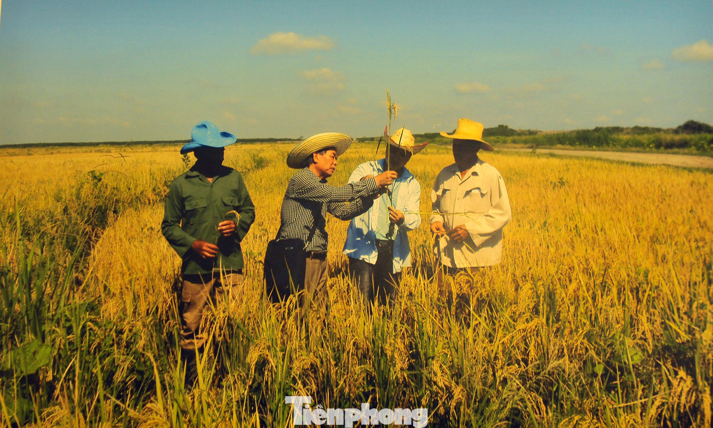 Kỷ niệm 60 năm thiết lập quan hệ ngoại giao Việt Nam - Cuba ảnh 9