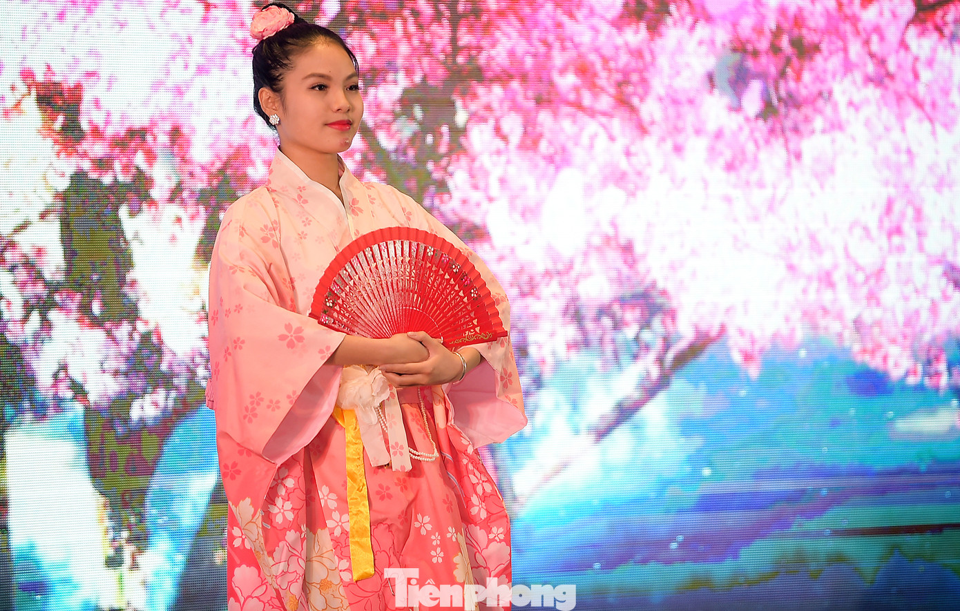 Mở rộng lĩnh vực hợp tác thanh niên Việt Nam - Nhật Bản ảnh 2