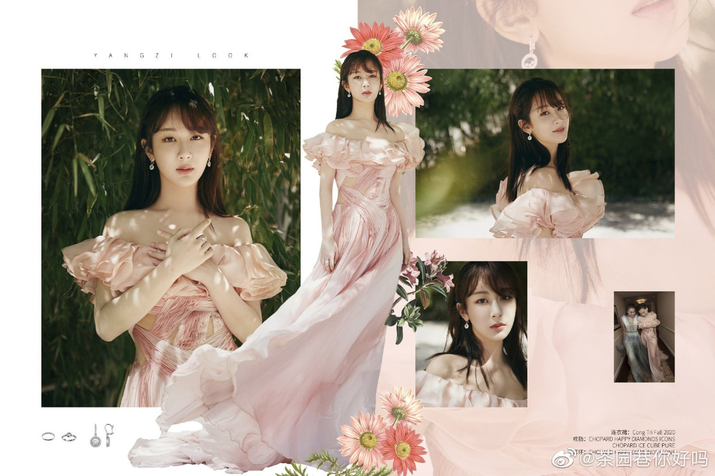 Dương Tử đẹp như một đóa hồng trong trang phục NTK Công Trí dự sự kiện của đài CCTV ảnh 7