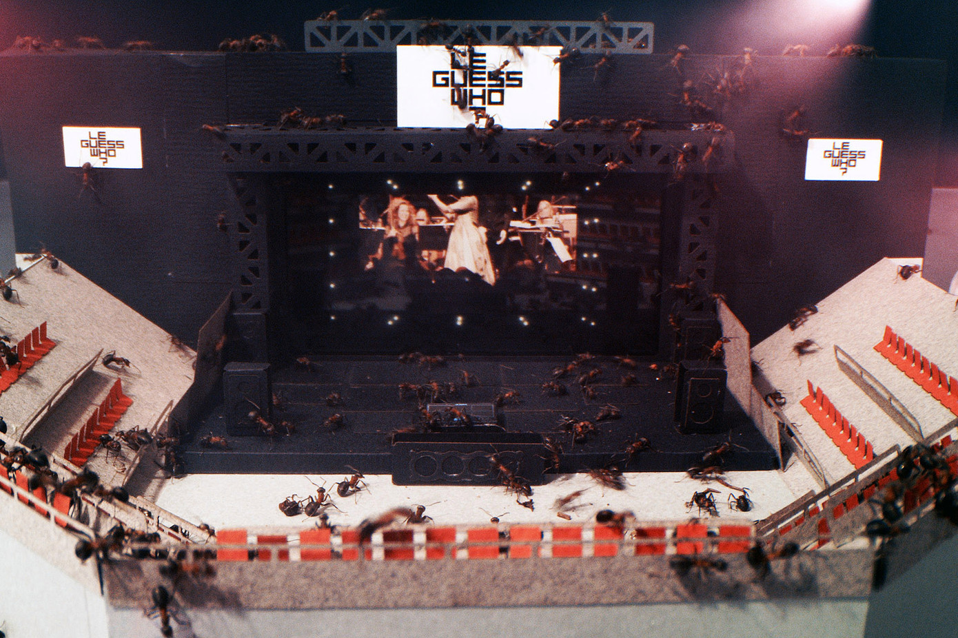 Chuyện lạ có thật, 8.000 con kiến là khách mời đặc biệt của đại lễ hội âm nhạc thế giới ảnh 1