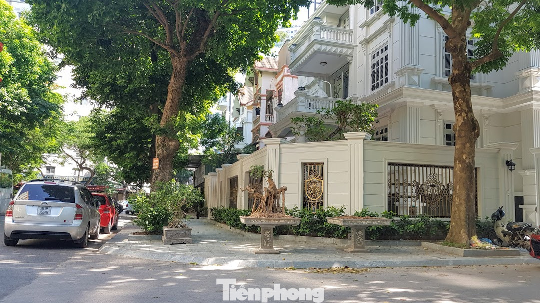 Vụ chủ biệt thự tự ý chặt cây, lát vỉa hè trái phép: Xử lý trách nhiệm cán bộ ảnh 3