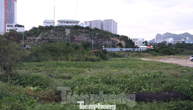 Khánh Hoà ra 'tối hậu thư' cho siêu dự án 33 triệu USD lấn biển Nha Trang ảnh 3
