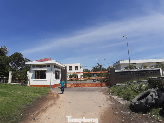 Chủ tịch Ninh Thuận có nhiều sai phạm về quản lý đất đai, khai thác khoáng sản ảnh 4