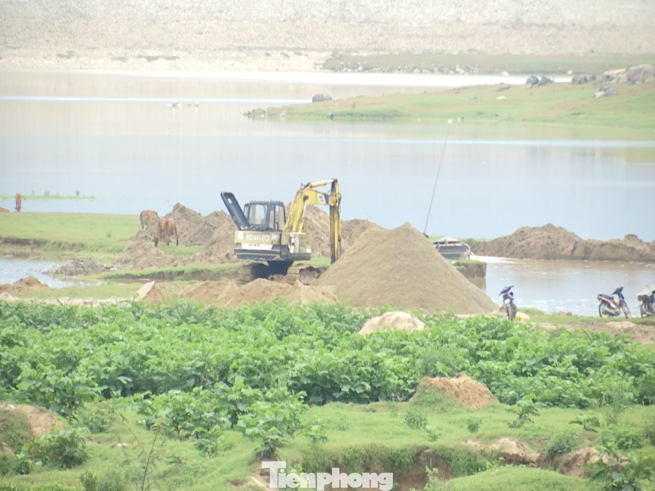 'Cát tặc' băm nát hồ thuỷ lợi, Chủ tịch huyện báo cáo không biết! ảnh 1