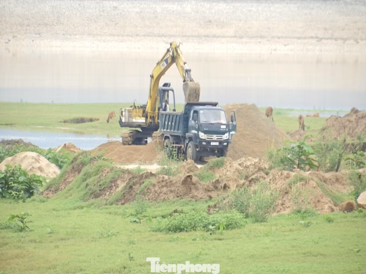 'Cát tặc' băm nát hồ thuỷ lợi, Chủ tịch huyện báo cáo không biết! ảnh 4