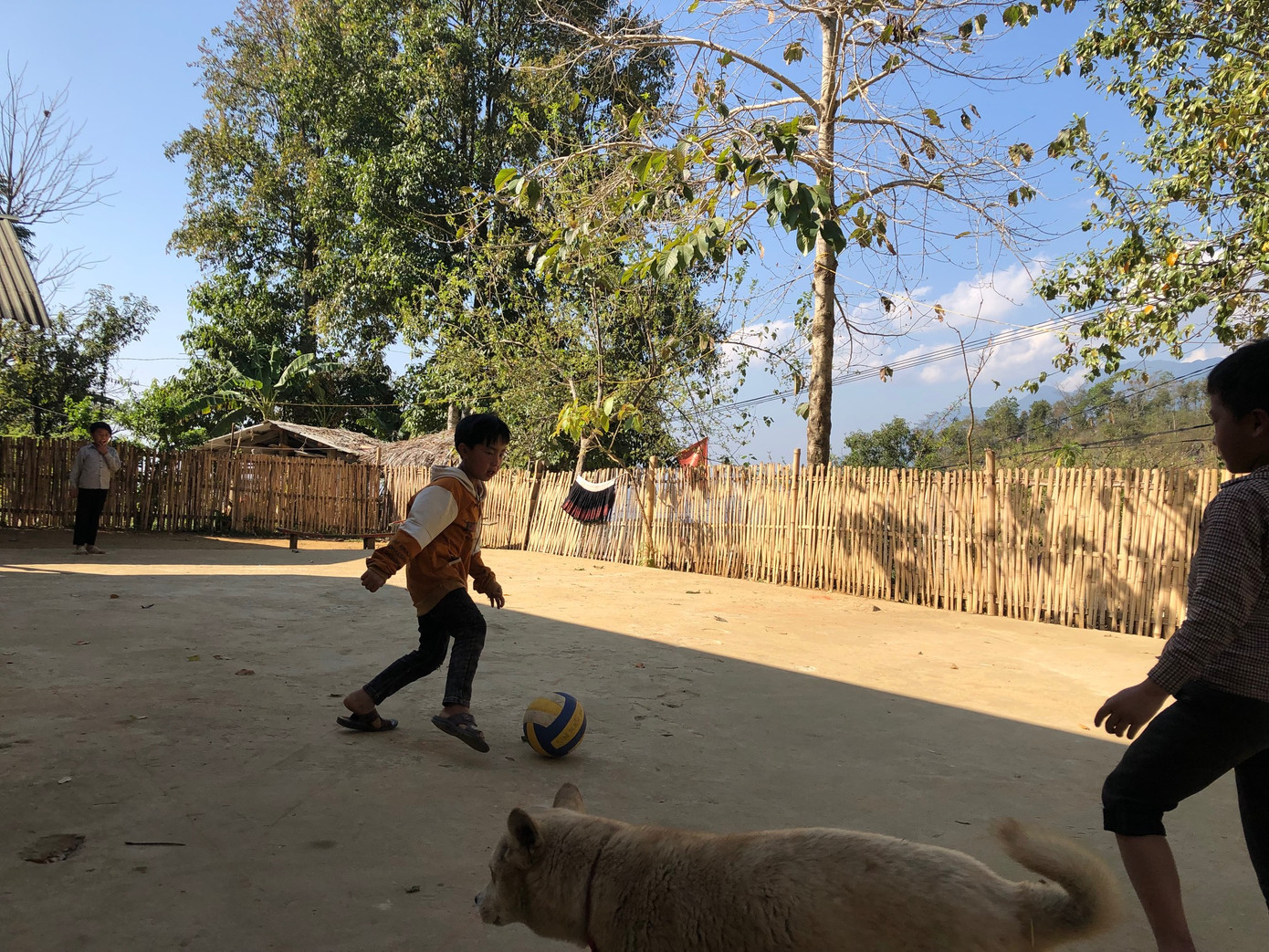 Đồng bào Mông ăn Tết cộng đồng ảnh 13