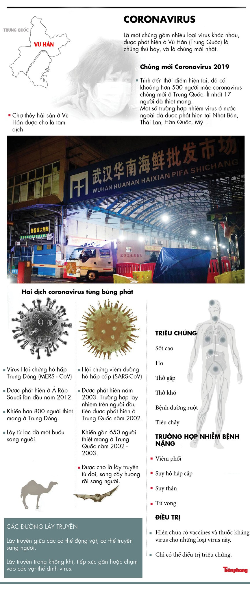 Coronavirus mới lây sang Singapore, Trung Quốc đóng cửa 3 thành phố ảnh 2