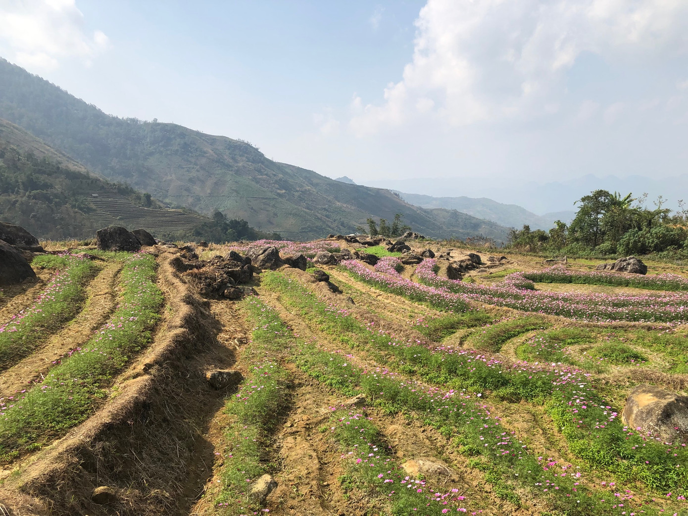 Đồng bào Mông ăn Tết cộng đồng ảnh 15