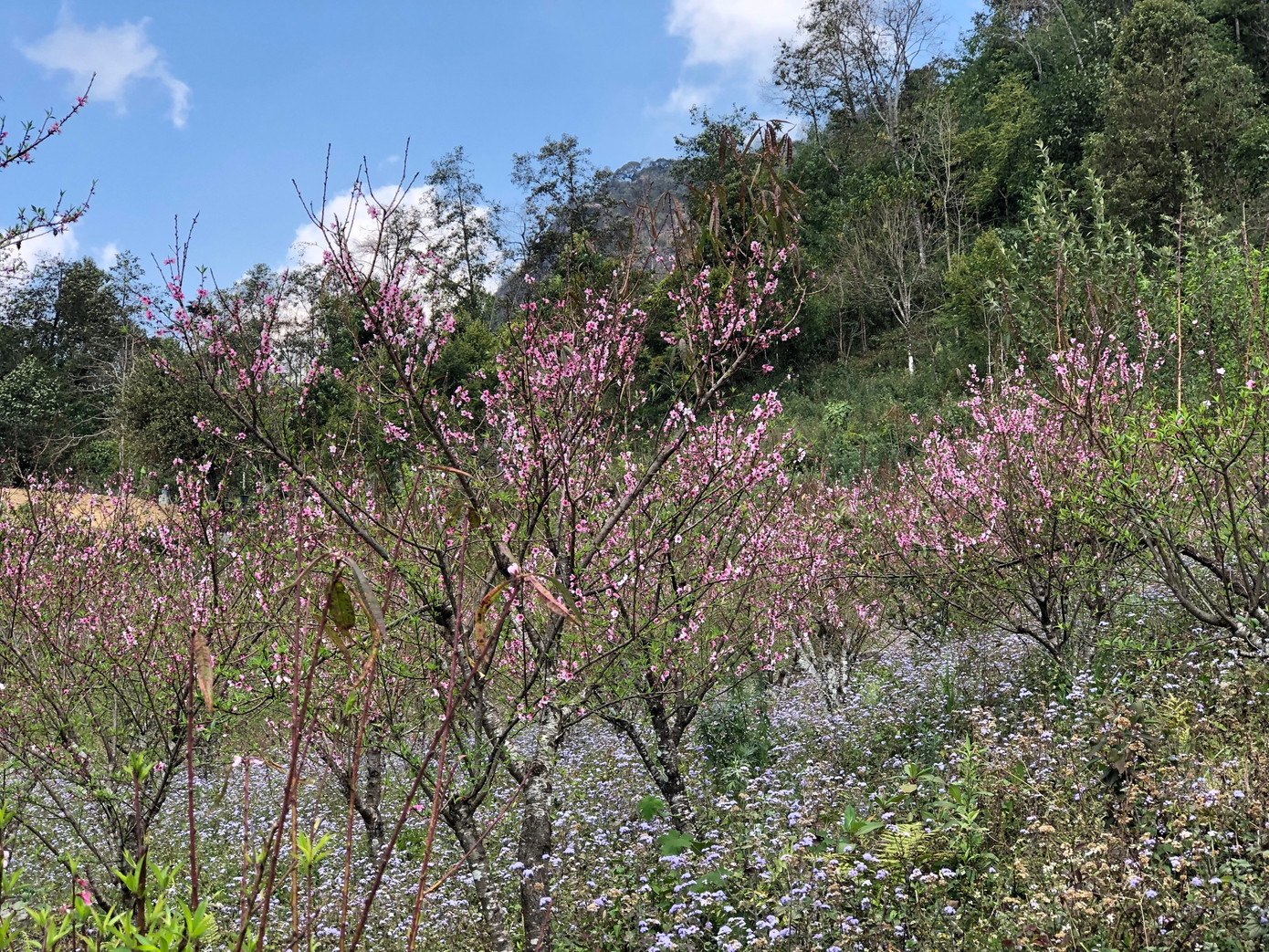 Đồng bào Mông ăn Tết cộng đồng ảnh 18