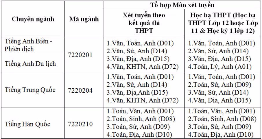 Đào tạo ngôn ngữ Hàn-Trung-Anh: Giải cơn 'khát' của thị trường nhân lực ảnh 2