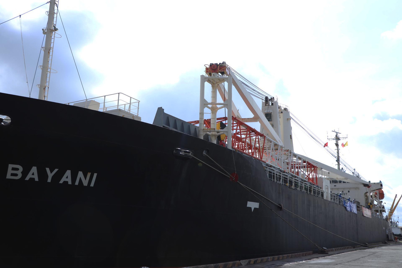 Đoàn tàu Metro đầu tiên của TPHCM đã cập cảng Khánh Hội ảnh 4