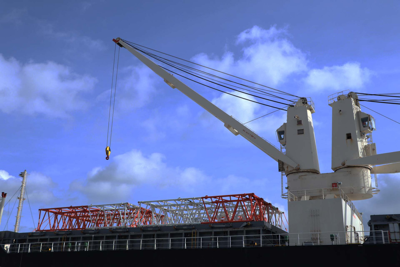 Đoàn tàu Metro đầu tiên của TPHCM đã cập cảng Khánh Hội ảnh 3