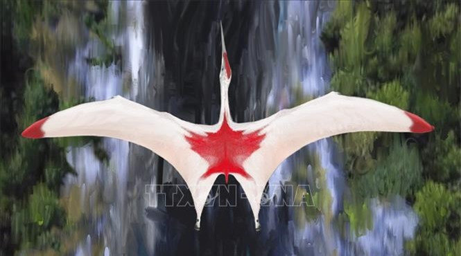 1001 thắc mắc: Loài thằn lằn nào phun máu từ mắt tử chiến với kẻ thù? ảnh 1