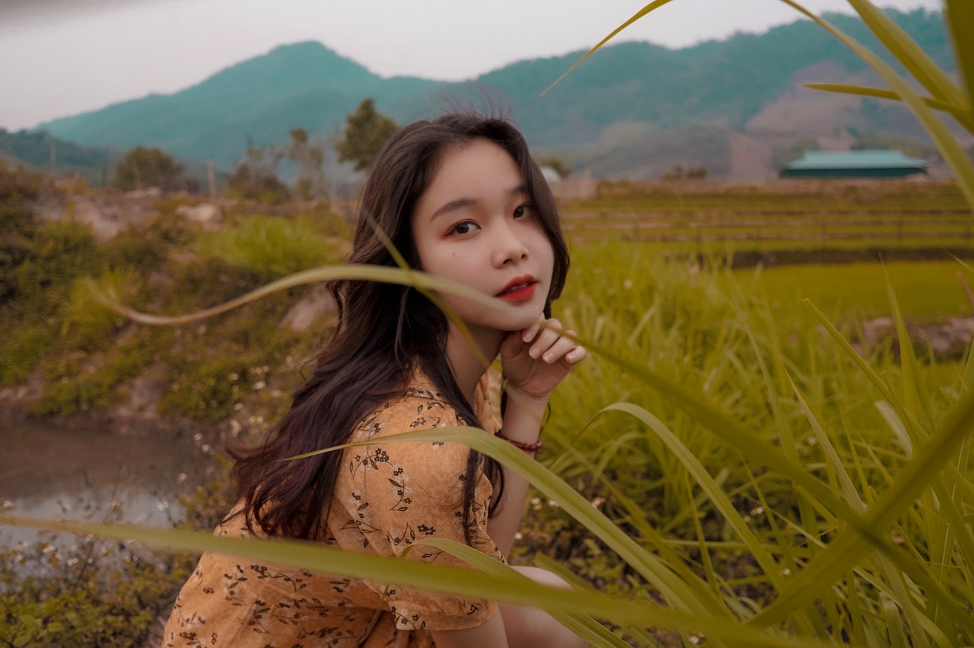 Nữ thủ khoa học ngành trinh sát 'gây thương nhớ' với nét đẹp trong trẻo ảnh 8