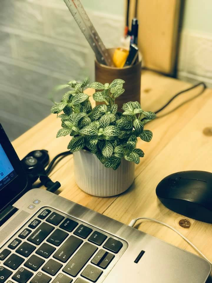 Chàng trai tự tay 'hô biến' phòng trọ 9m2 thành căn studio đẹp bất ngờ ảnh 9