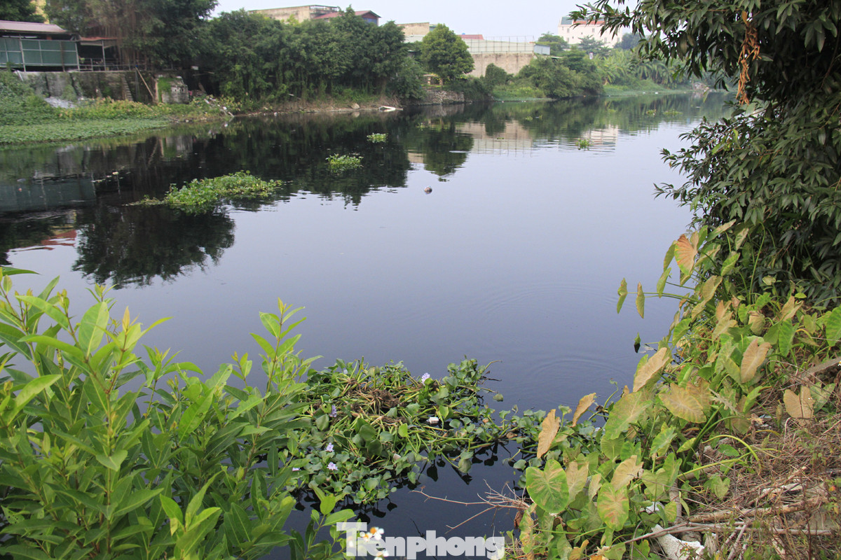 Cả dòng sông đen kịt, bốc mùi hôi thối ở Hải Dương ảnh 5