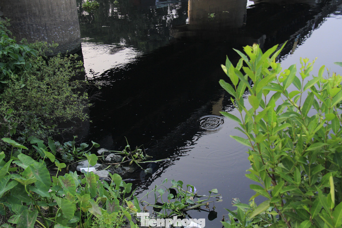 Cả dòng sông đen kịt, bốc mùi hôi thối ở Hải Dương ảnh 7