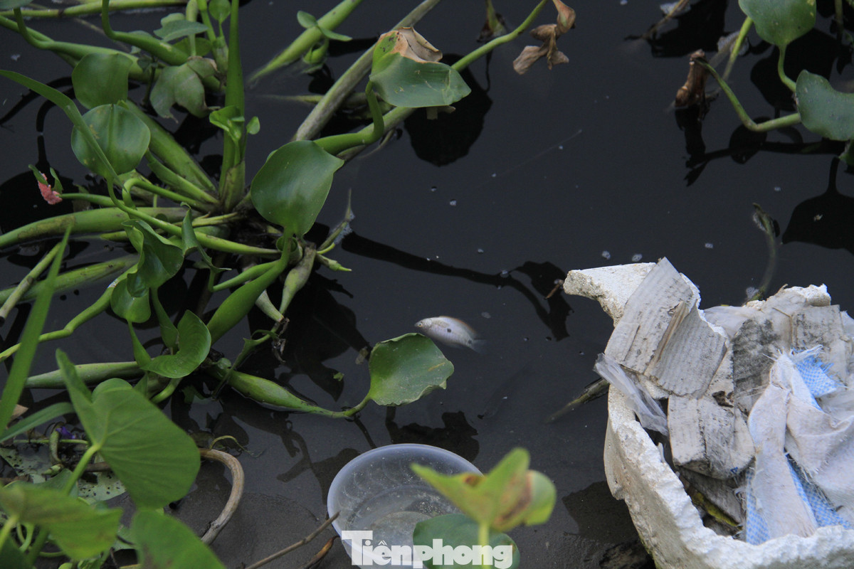 Cả dòng sông đen kịt, bốc mùi hôi thối ở Hải Dương ảnh 6