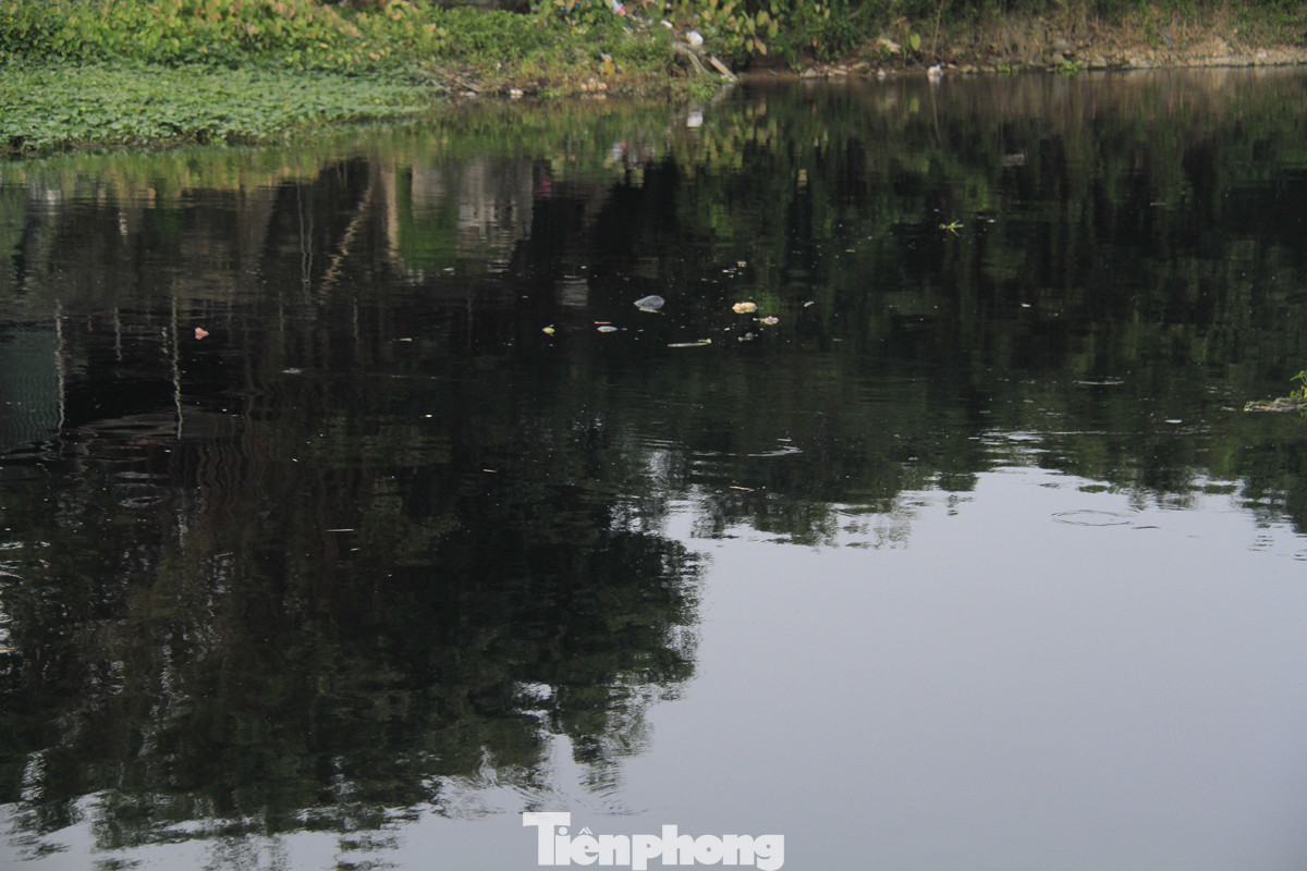 Cả dòng sông đen kịt, bốc mùi hôi thối ở Hải Dương ảnh 8