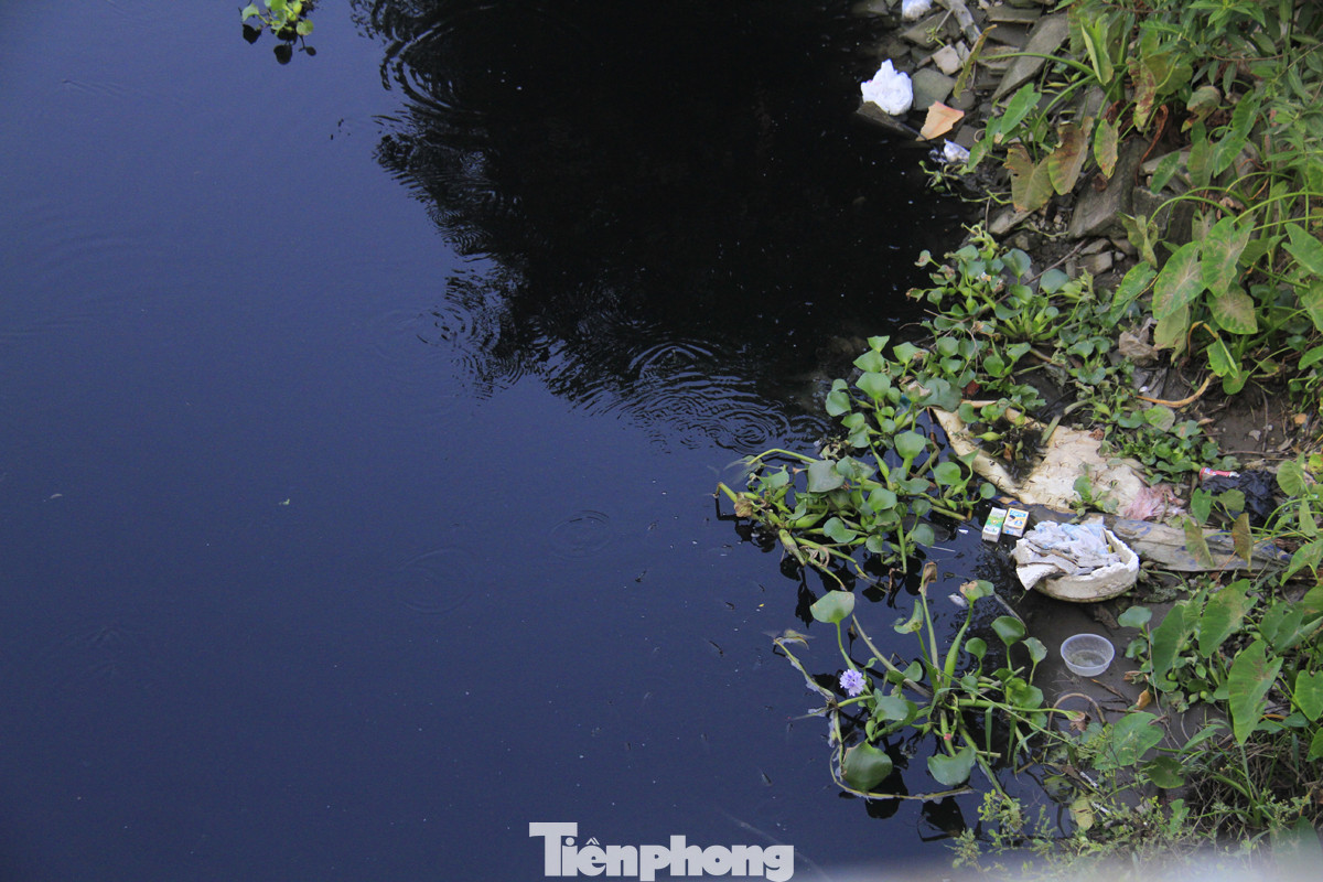 Cả dòng sông đen kịt, bốc mùi hôi thối ở Hải Dương ảnh 9
