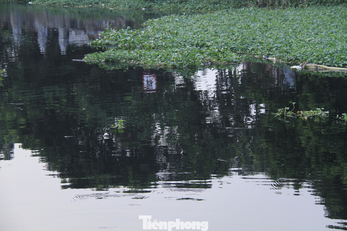 Cả dòng sông đen kịt, bốc mùi hôi thối ở Hải Dương ảnh 2